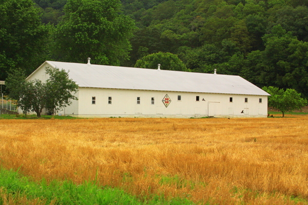 wheatfieldbarn